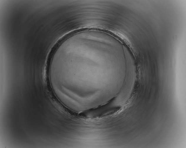 X0000088480880200706121529