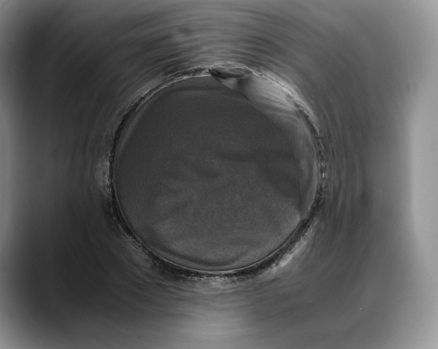 X0000088480881200706121529