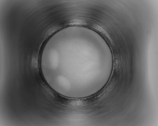 X0000088480882200706121529