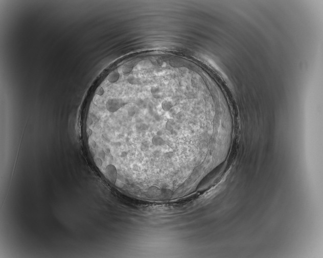 X0000088480883200706121529