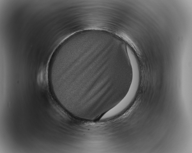 X0000088480884200706121529