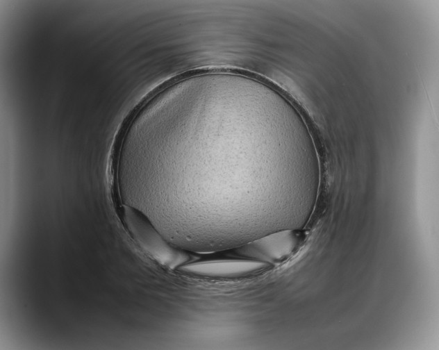 X0000088480885200706121529
