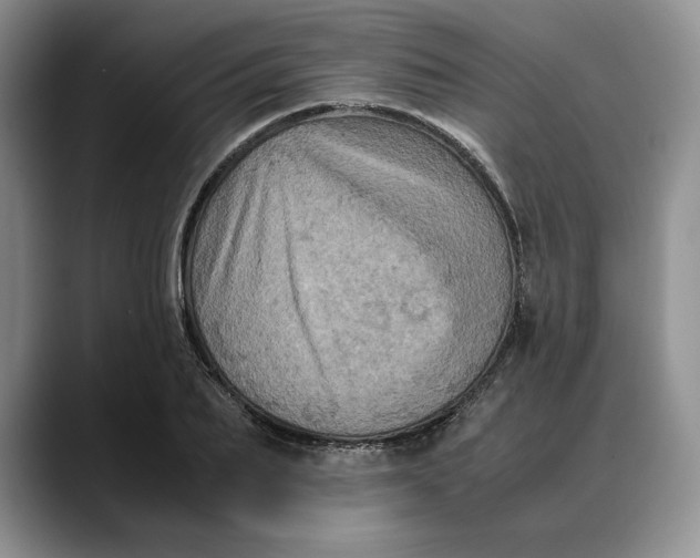 X0000088480887200706121529