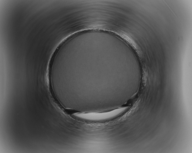 X0000088480888200706121529