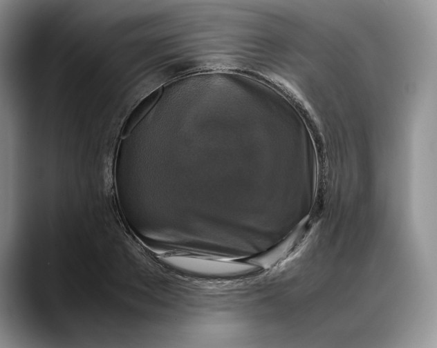 X0000088480889200706121529