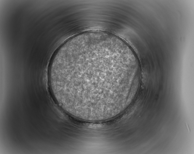 X0000088480890200706121529