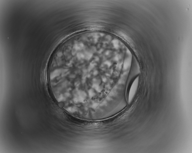 X0000088480891200706121529