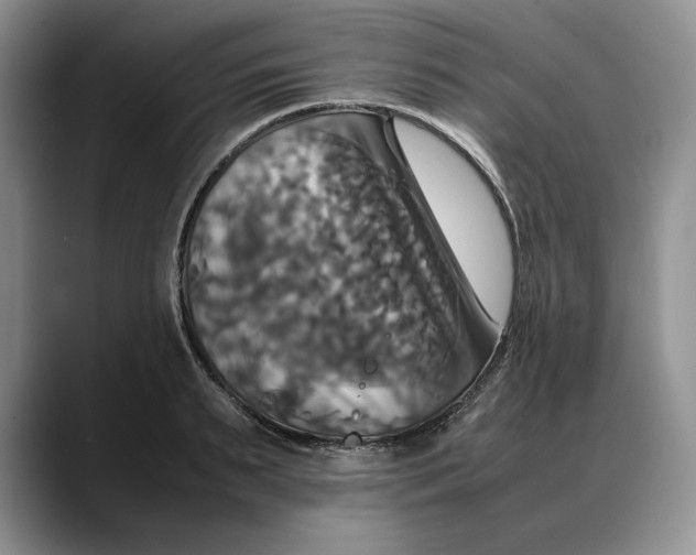 X0000088480895200706121529