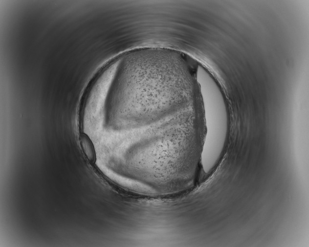 X0000088480896200706121529