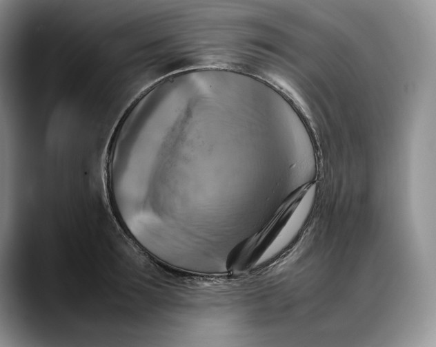 X0000088480899200706121528