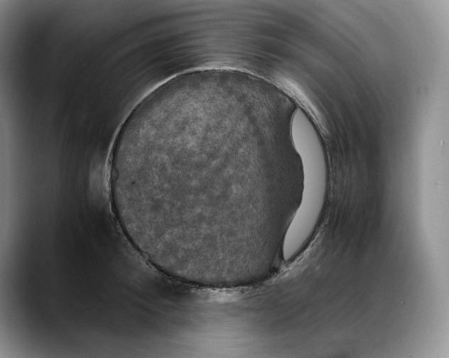 X0000088480900200706121528