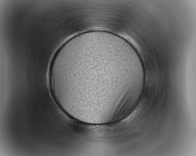 X0000088480902200706121528