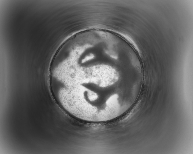 X0000088480903200706121528