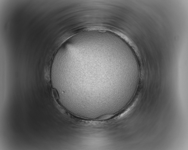 X0000088480905200706121528