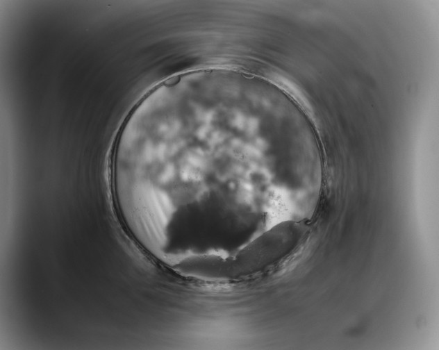X0000088480907200706121528