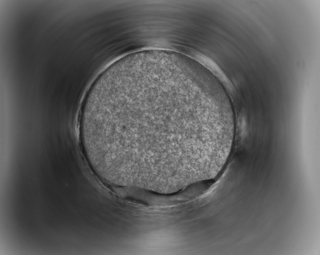 X0000088480908200706121528