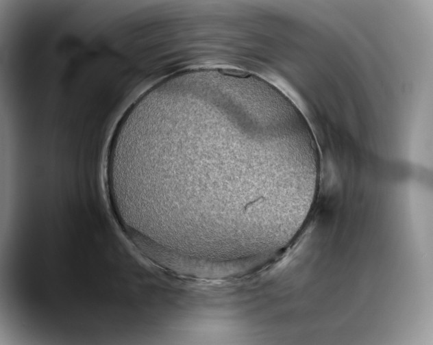 X0000088480909200706121528