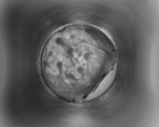 X0000088480911200706121528