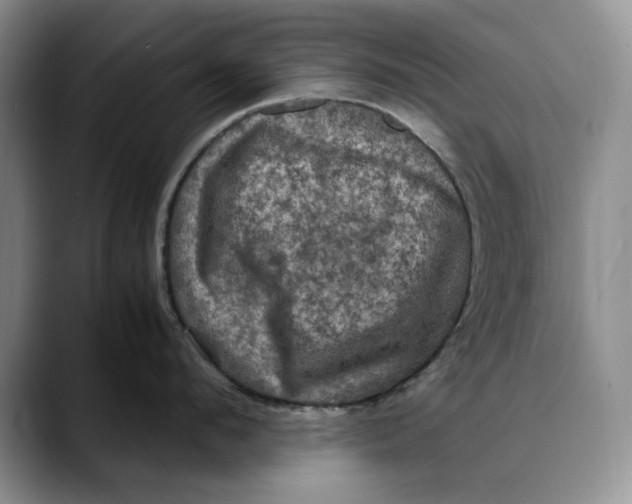 X0000088480912200706121528