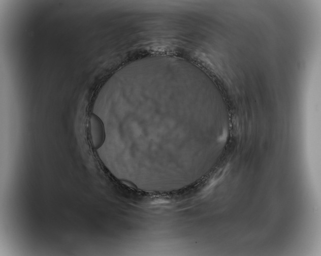 X0000088480913200706121528