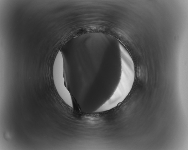 X0000088480915200706121528