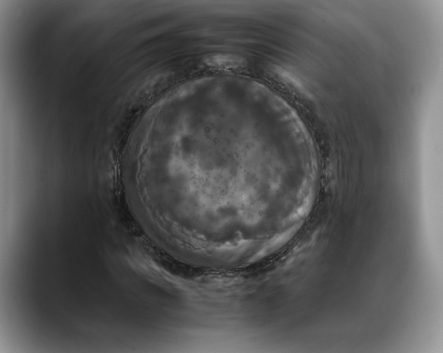 X0000088480917200706121528
