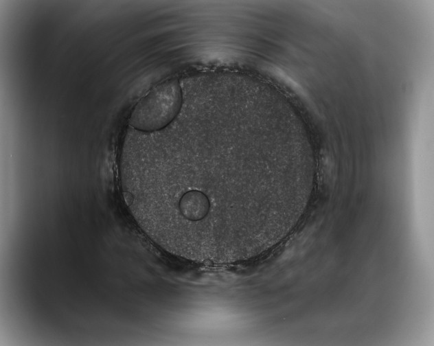 X0000088480918200706121528