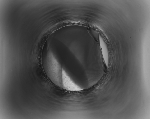 X0000088480919200706121528