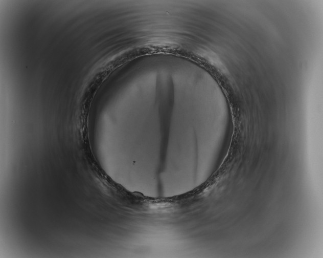 X0000088480920200706121528