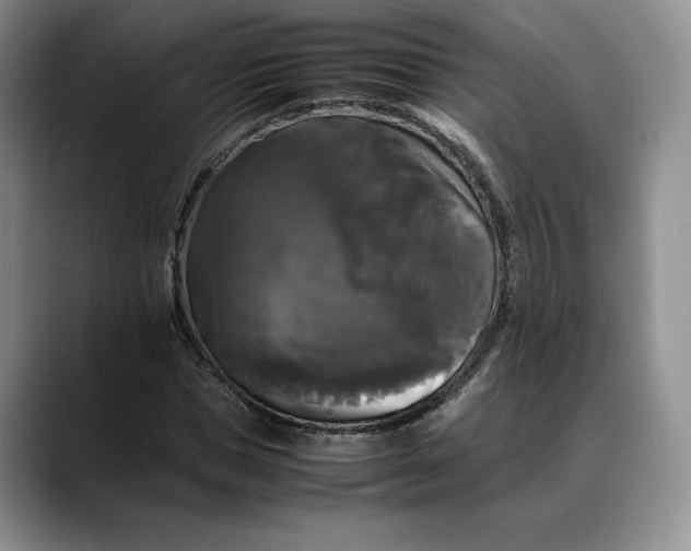 X0000088480921200706121528