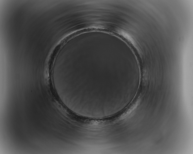 X0000088480923200706121528