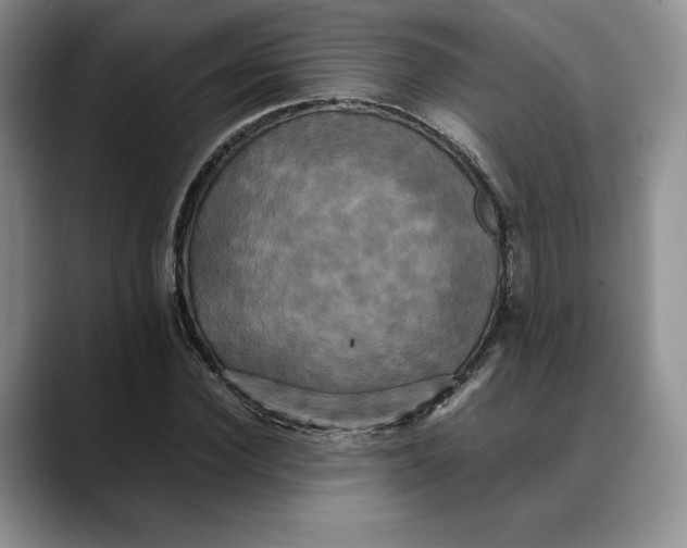 X0000088480924200706121528