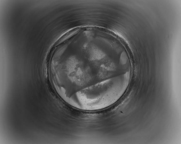 X0000088480925200706121528