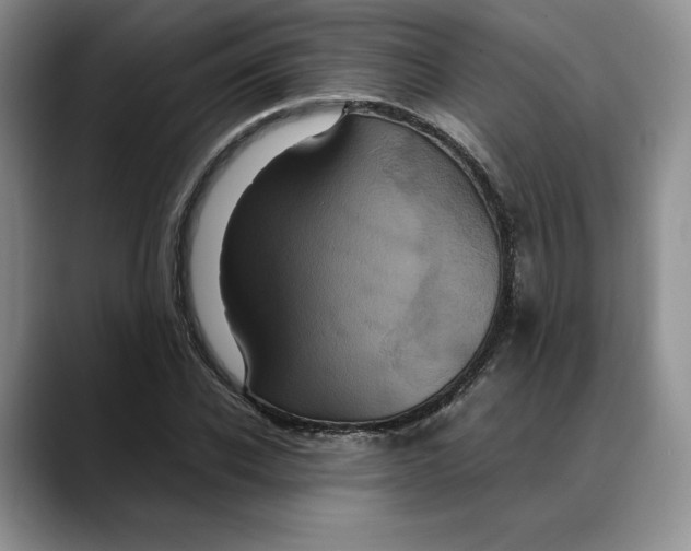 X0000088480926200706121528