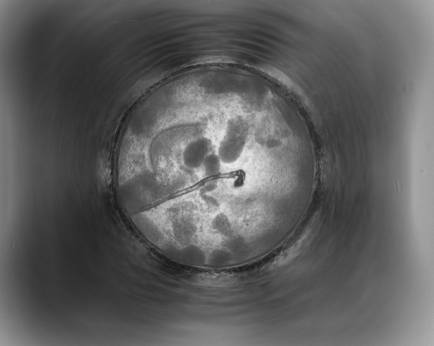 X0000088480929200706121528