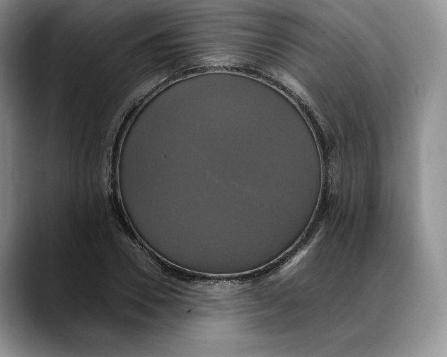 X0000088480930200706121528
