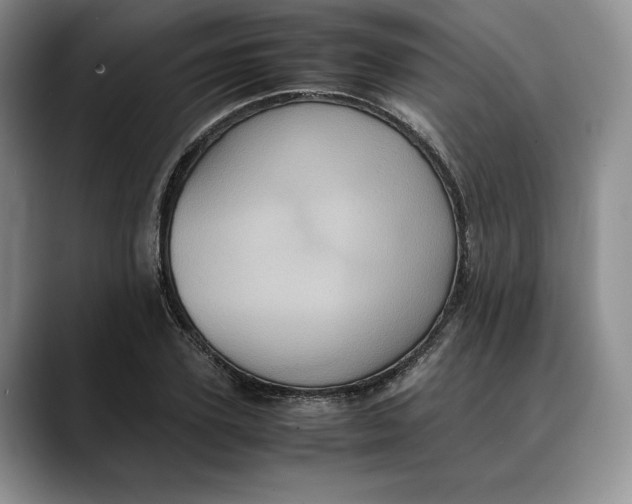 X0000088480931200706121528