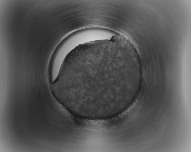 X0000088480934200706121528
