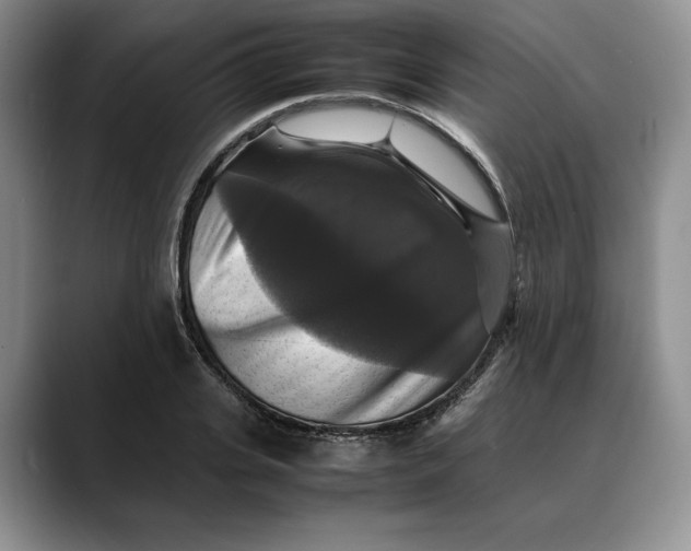 X0000088480935200706121528