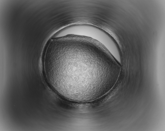 X0000088480936200706121528
