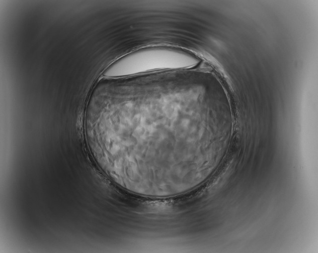X0000088480937200706121528