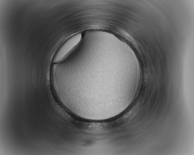 X0000088480938200706121528