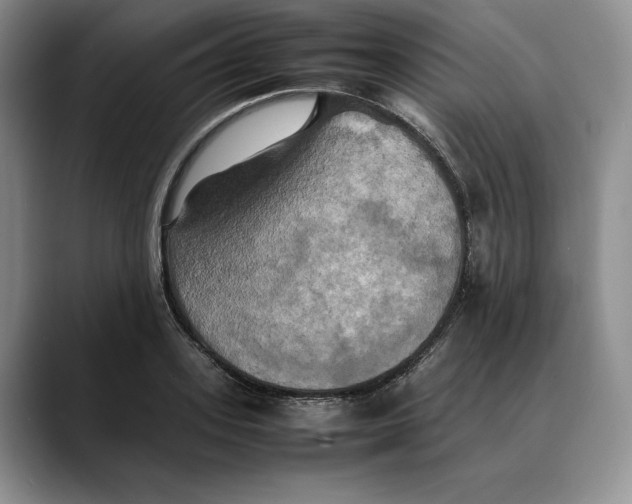 X0000088480939200706121528