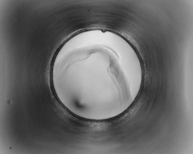 X0000088480941200706121528