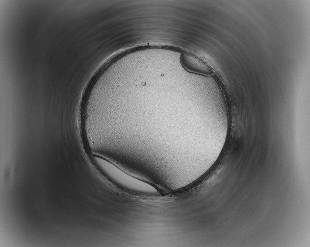 X0000088480942200706121528