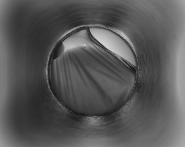 X0000088480943200706121528