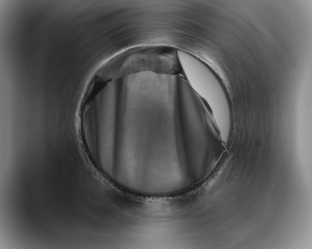 X0000088480944200706121528