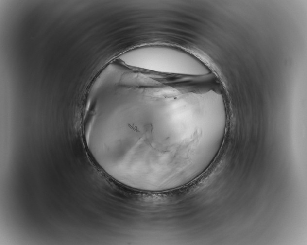X0000088480945200706121528