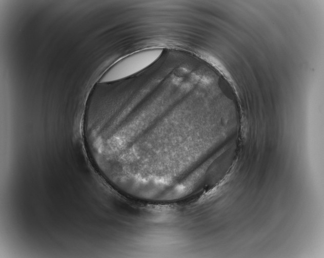 X0000088480946200706121528