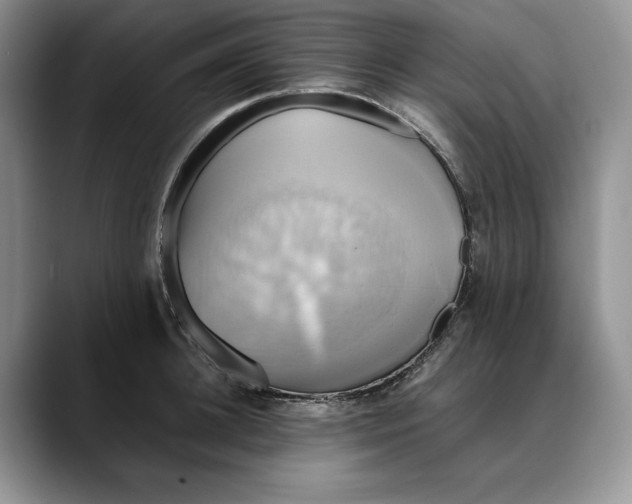 X0000088480948200706121528